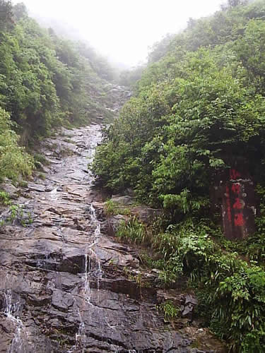 白水嶺熱帶森林保護區風貌圖