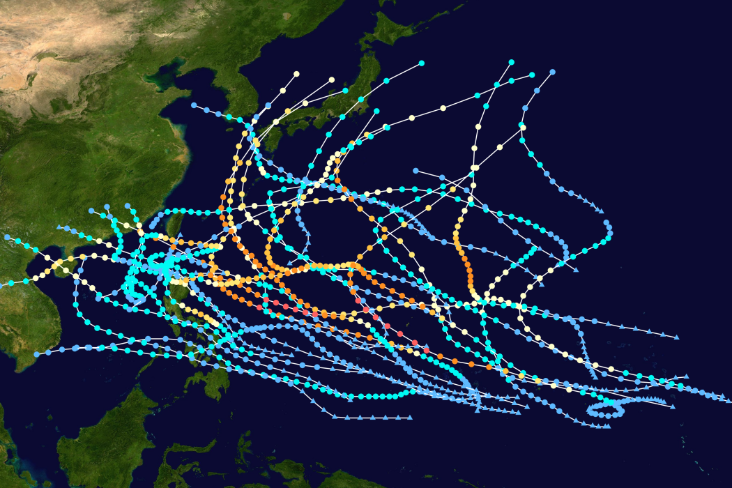 1991年太平洋颱風季