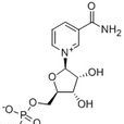 煙醯胺單核苷酸
