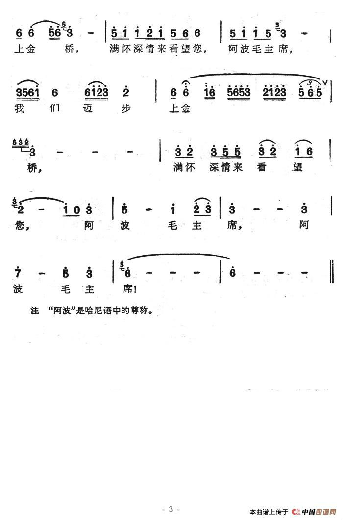 阿波毛主席