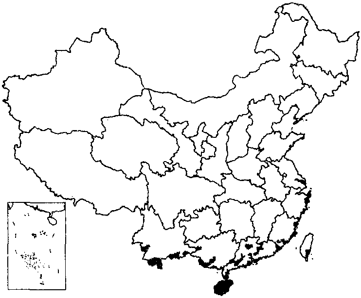 山豬菜產地分布