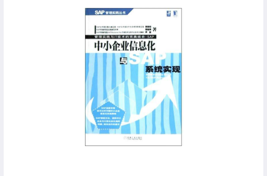 中小企業信息化與SAP系統實現