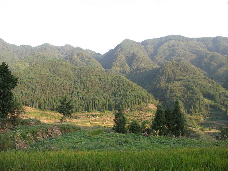 白家寨自然村(高田鄉新華村民委員會下轄自然村)