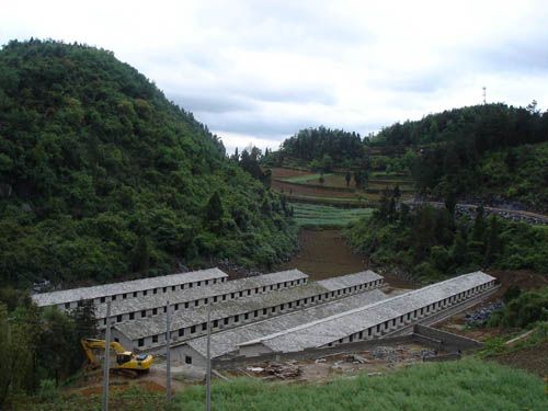 塘豐村(貴州畢節市塘豐村)