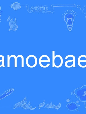 amoebae