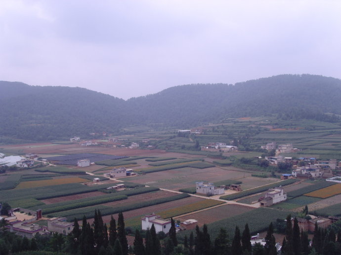 南蒲村(廣東省順德市均安鎮下轄村)