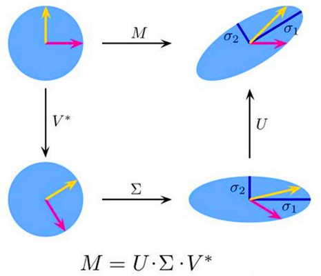 奇異值分解(SVD（數學概念奇異值分解的英文縮寫）)
