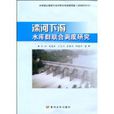 灤河下游水庫群聯合調度研究