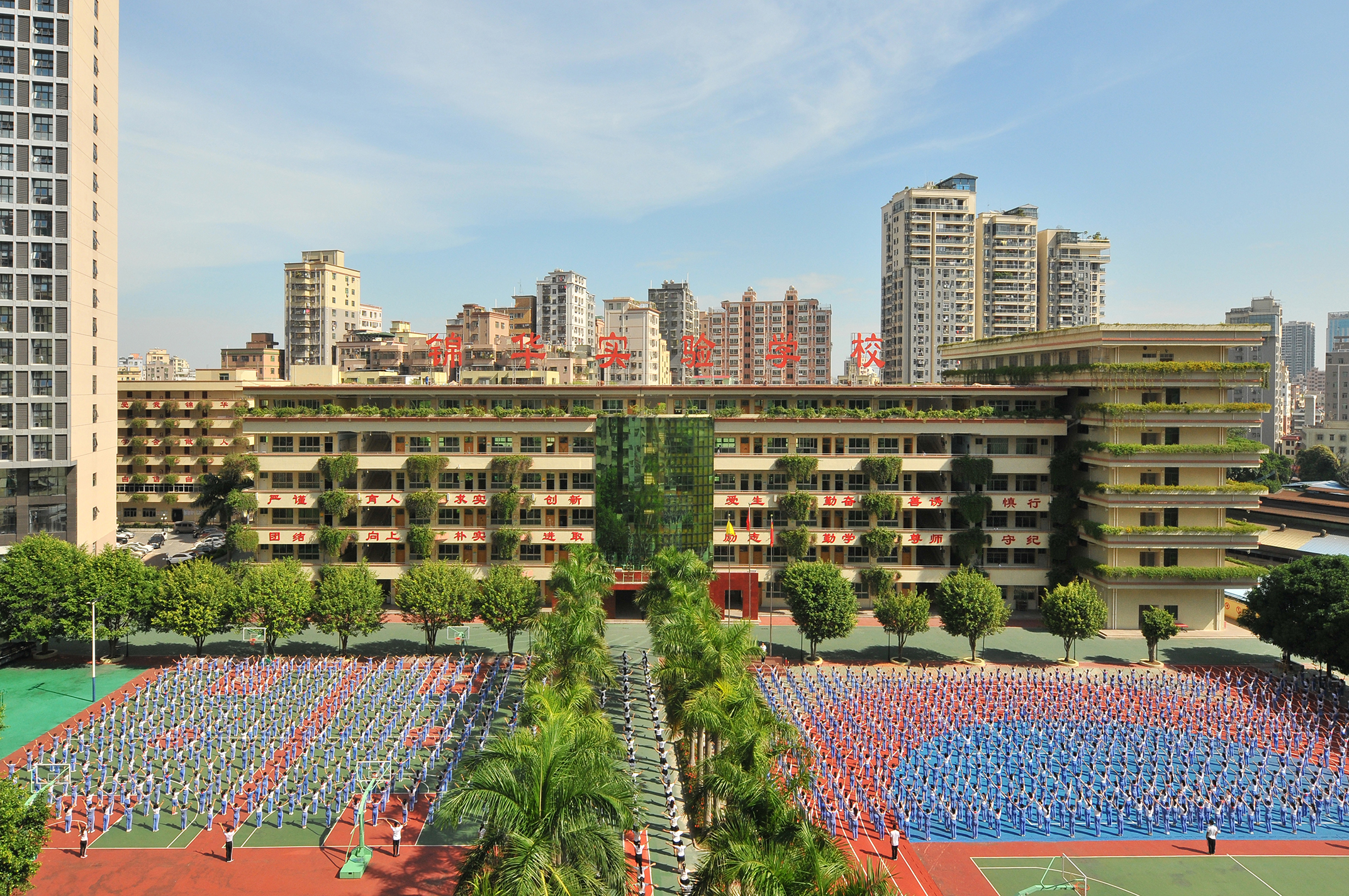 錦華實驗學校校園全景