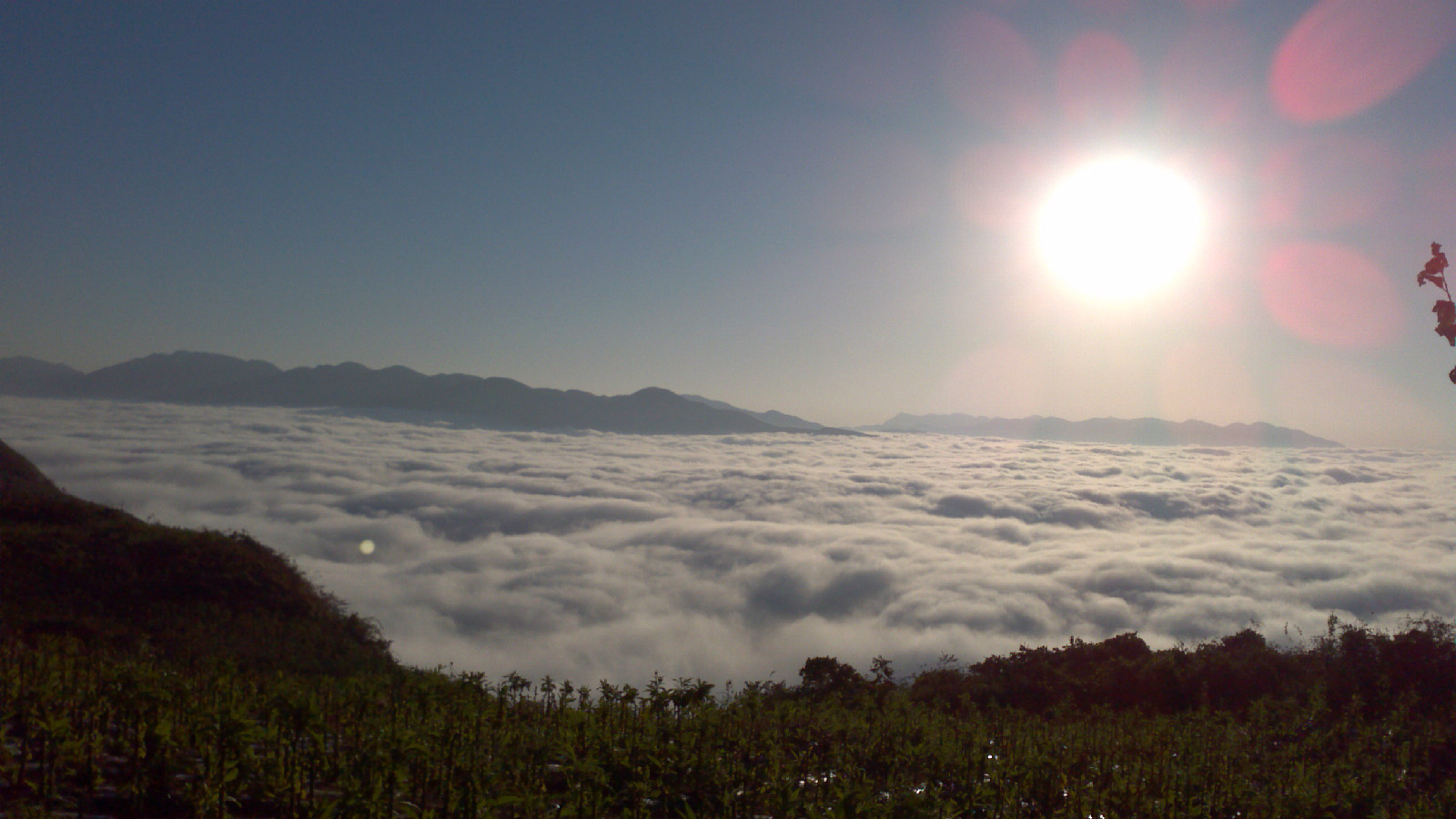 平頭界村