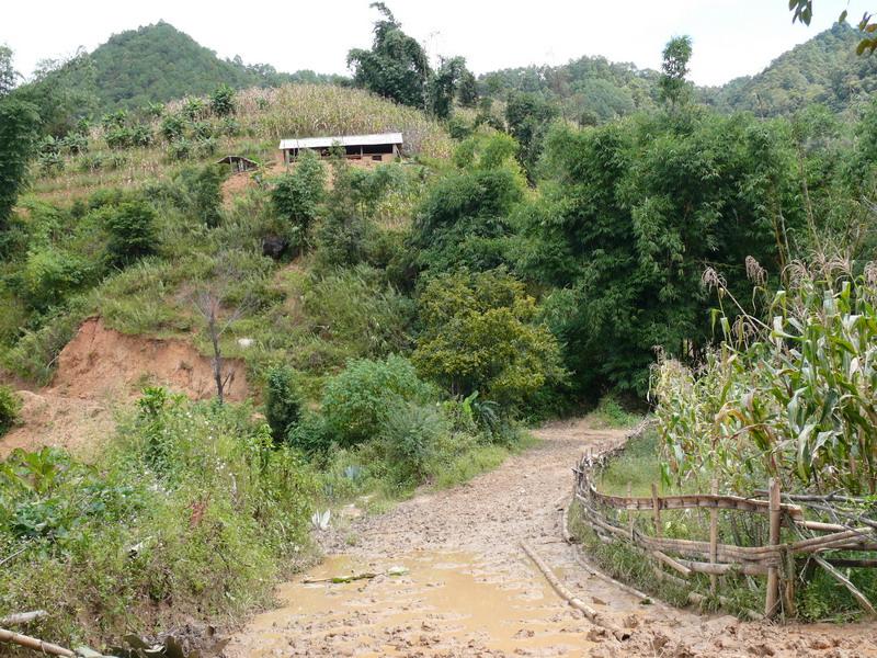 同化村的道路