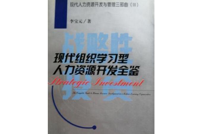 戰略性投資(2005年經濟科學出版社出版的圖書)