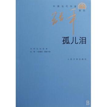 孤兒淚(張平所著小說)