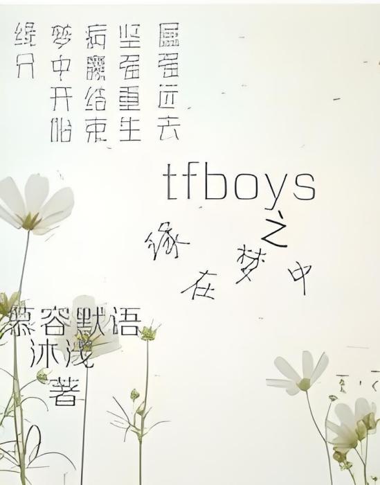 tfboys之緣在夢中