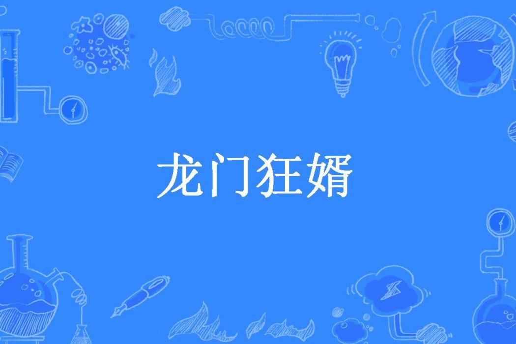 龍門狂婿(筆桿子所著小說)