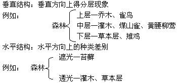 群落空間配置