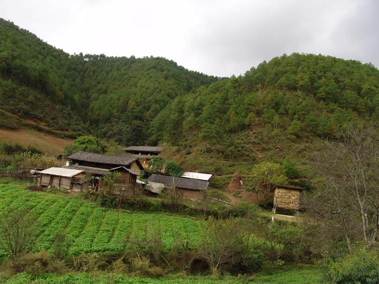 新華後山自然村