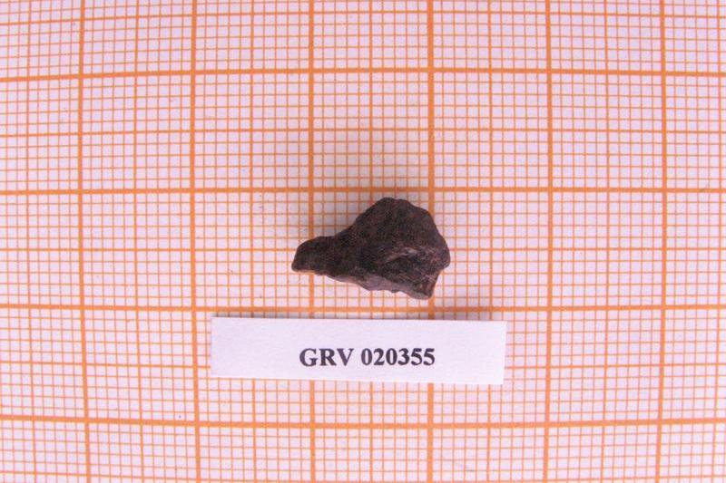 南極隕石GRV020355