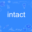 intact(英語單詞)