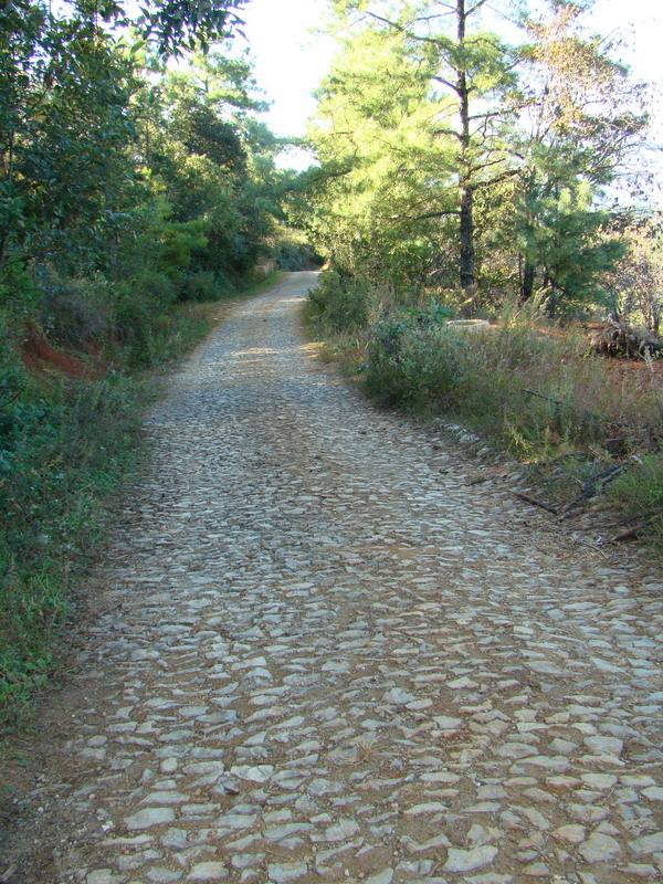 村間道路