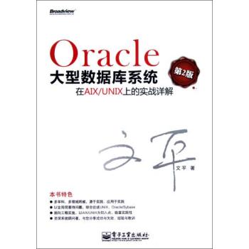 Oracle大型資料庫系統在AIX/UNIX上的實戰詳解