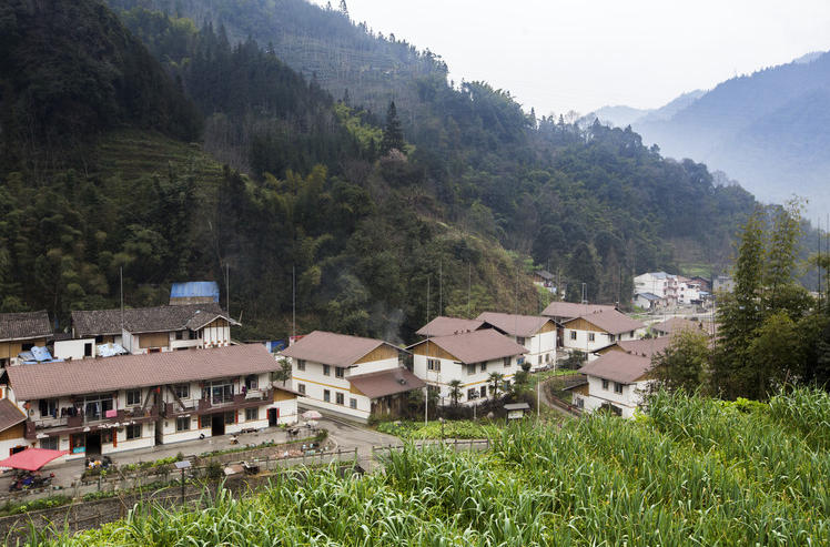 煙溪村(寧鄉市煙溪村)