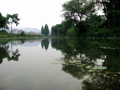 郭集村風景