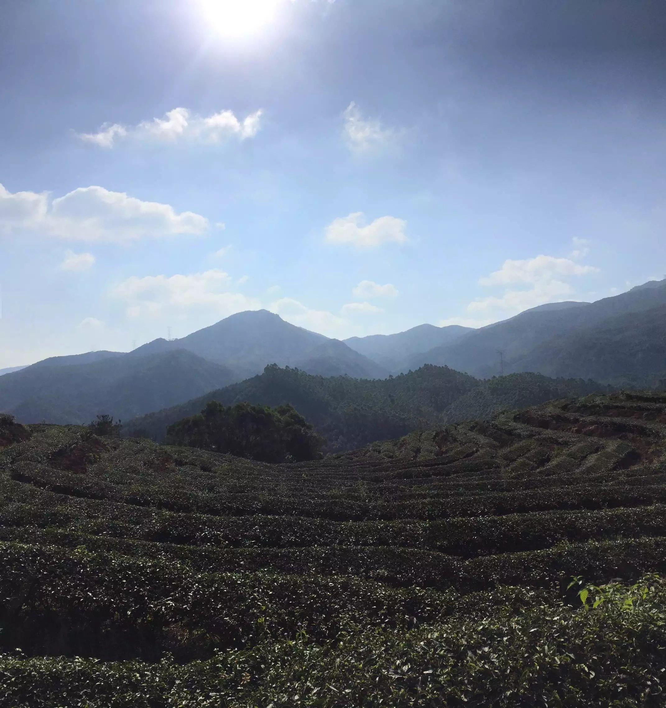 大霧山(福建泉州泉港區景點)