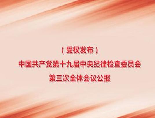 中國共產黨第十九屆中央紀律檢查委員會第三次全體會議