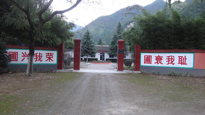 甘肅省天水市麥積區碼頭苗圃國家楊樹良種基地