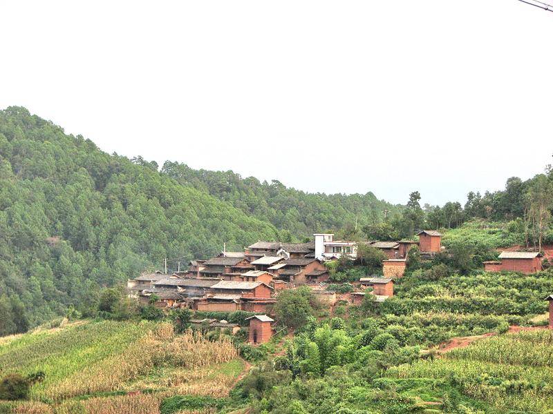 冷風箐村(雲南省楚雄雙柏縣法脿鎮下轄村)