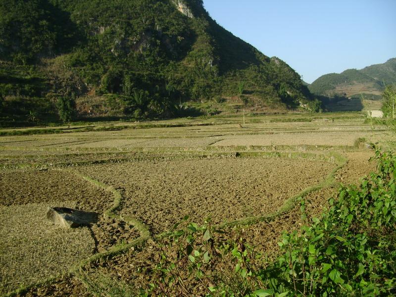 村中田園