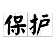 保護(漢語詞語)