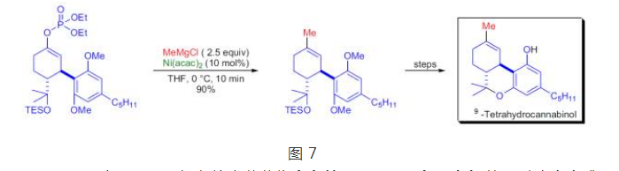 天然產物四氫大麻酚及其類似物全合成