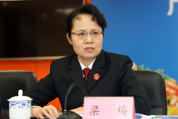 梁梅(廣西壯族自治區高級人民法院副院長)