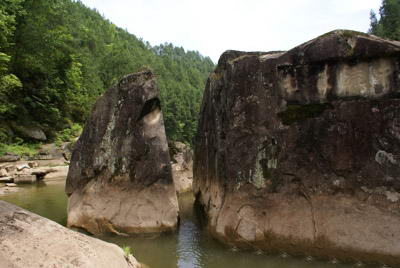 小蘭草河