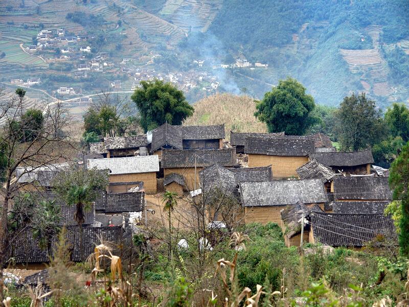 茶家後山村