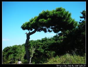 瀋陽馬耳山