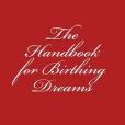 The Handbook for Birthing Dreams: Imaginative Meditation the Missing Link