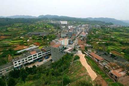 代廟村(山東成武縣九女鎮下轄村)