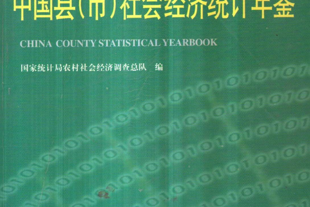 中國縣（市）社會經濟統計年鑑(2004年中國統計出版社出版的圖書)