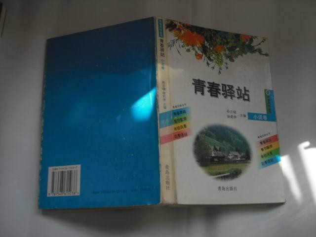 青春驛站小說卷