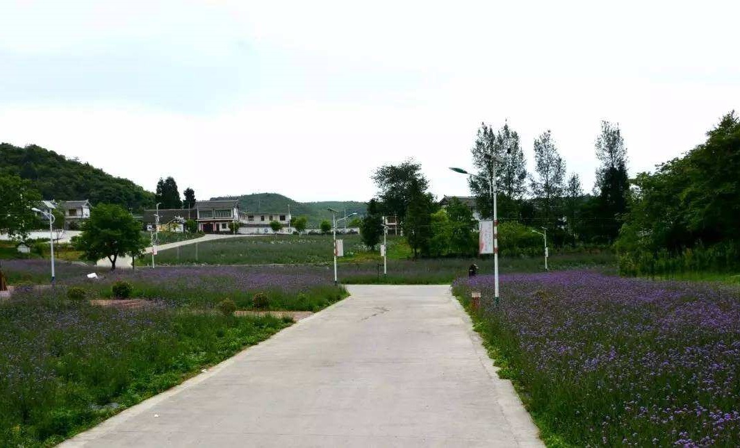 永興村(雲南省大理洱源縣茈碧湖鎮永興村委會)