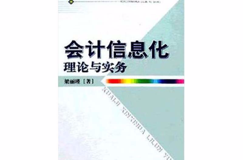 會計信息化理論與實務