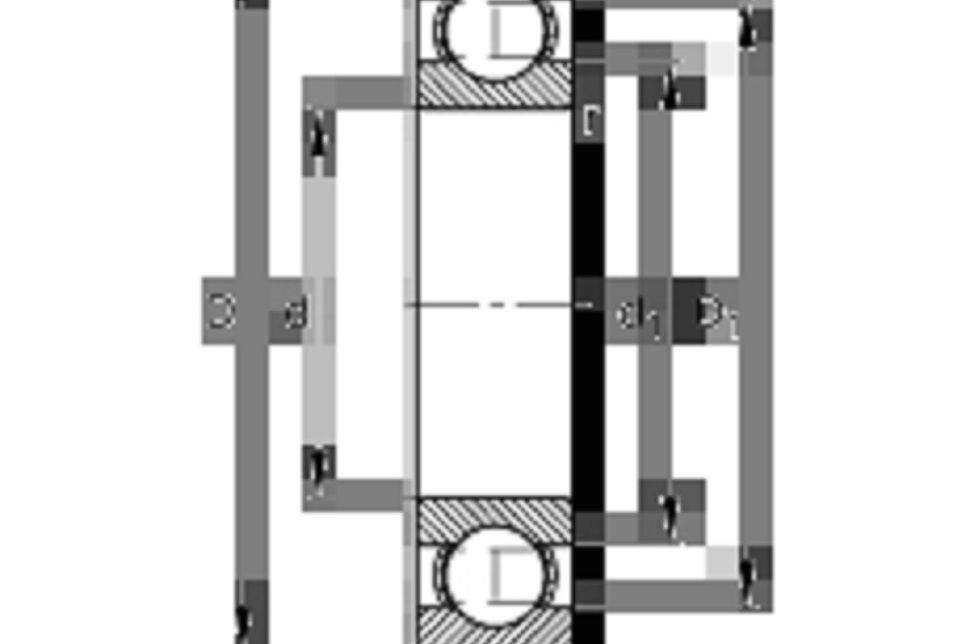 FAG N1928-K-M1-SP軸承