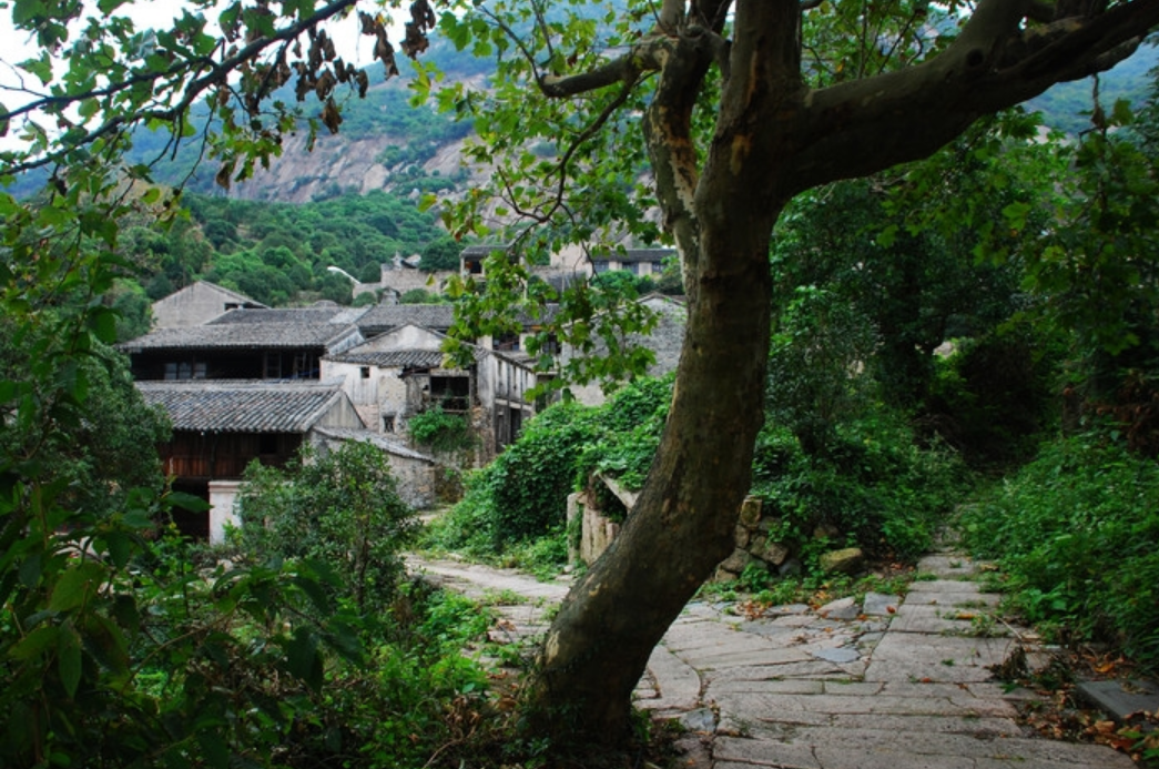 溫州茶山省級森林公園