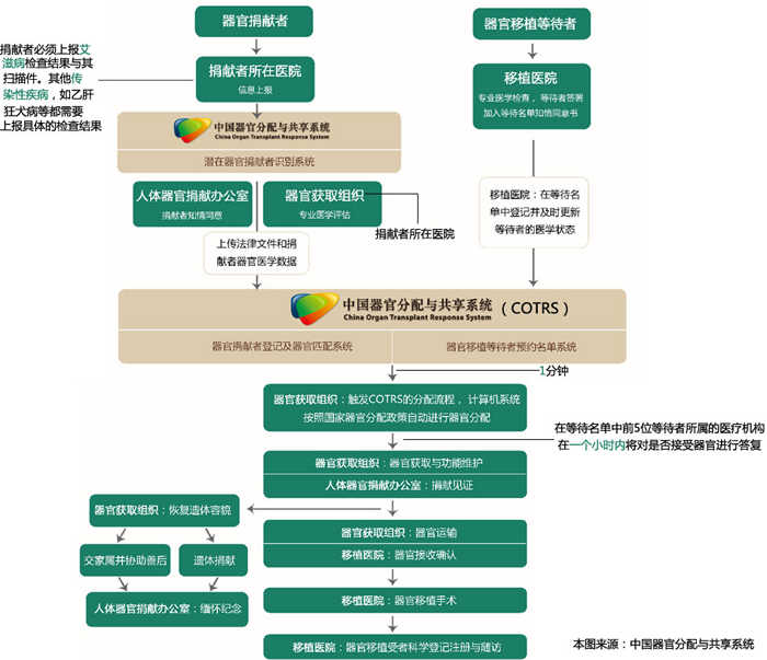 中國人體器官分配與共享系統