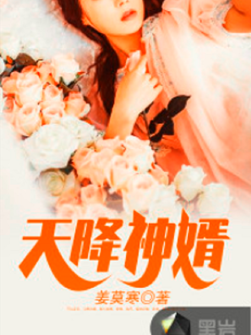 天降神婿(姜莫寒著網路小說)