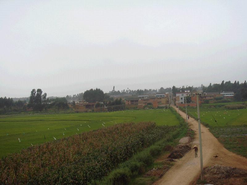 大莊子村(雲南省曲靖市陸良縣小百戶鎮大莊子村)