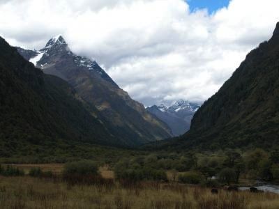 中國的瓦屋山國家森林公園